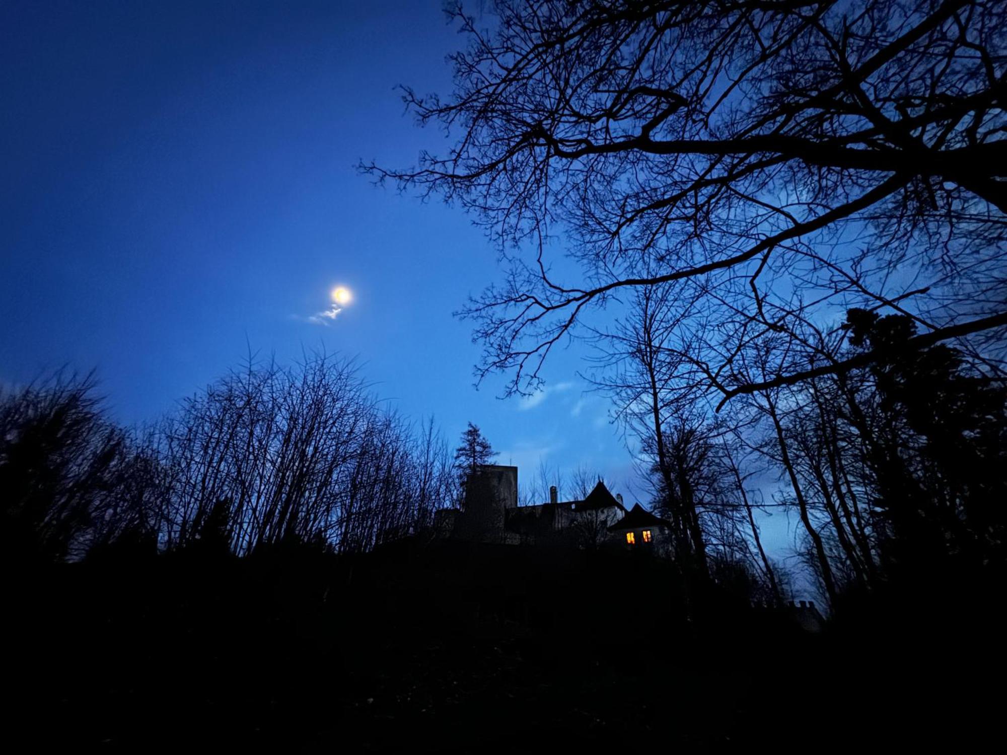 Penzion Landstejnsky Dvur Slavonice Dış mekan fotoğraf