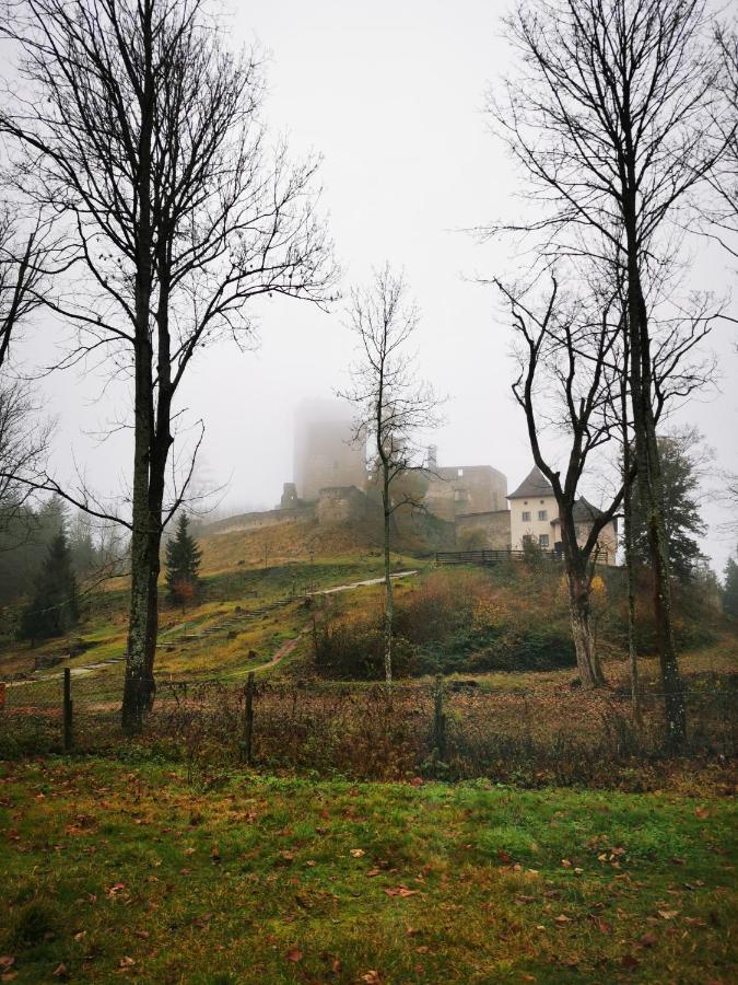 Penzion Landstejnsky Dvur Slavonice Dış mekan fotoğraf